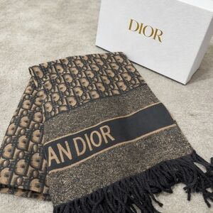 Dior Oblique Reversible Scarf